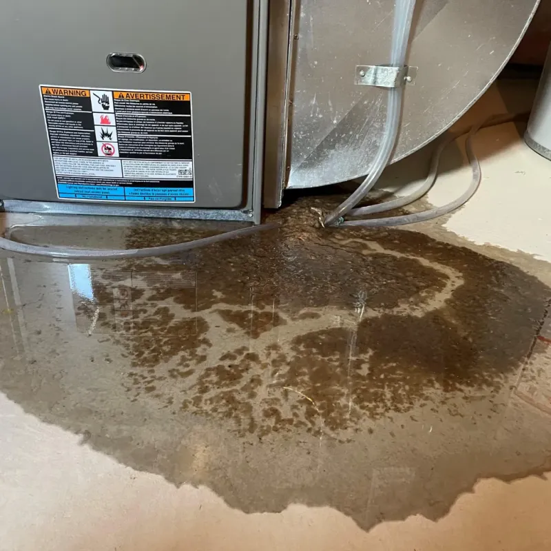 Appliance Leak Cleanup in Bosque County, TX